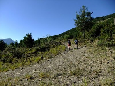 Llegamos a la pista