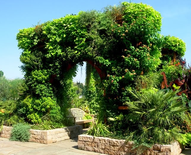 Mad Dabblings in a City Garden: Flowered Walls Update