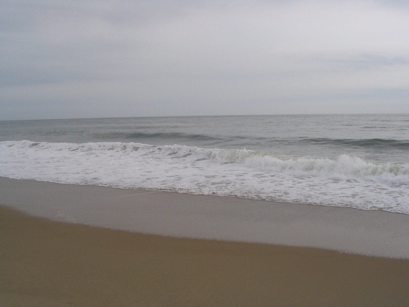 [IMG_2940.JPG]