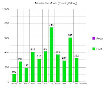 2010 Mins Per Month