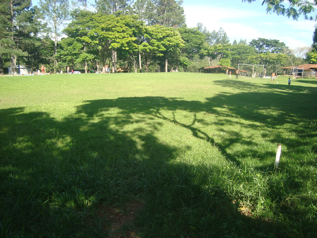 Campos De Futebol