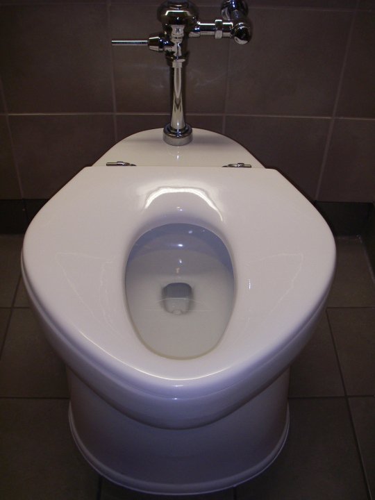 Toilet Poop just b.CAUSE