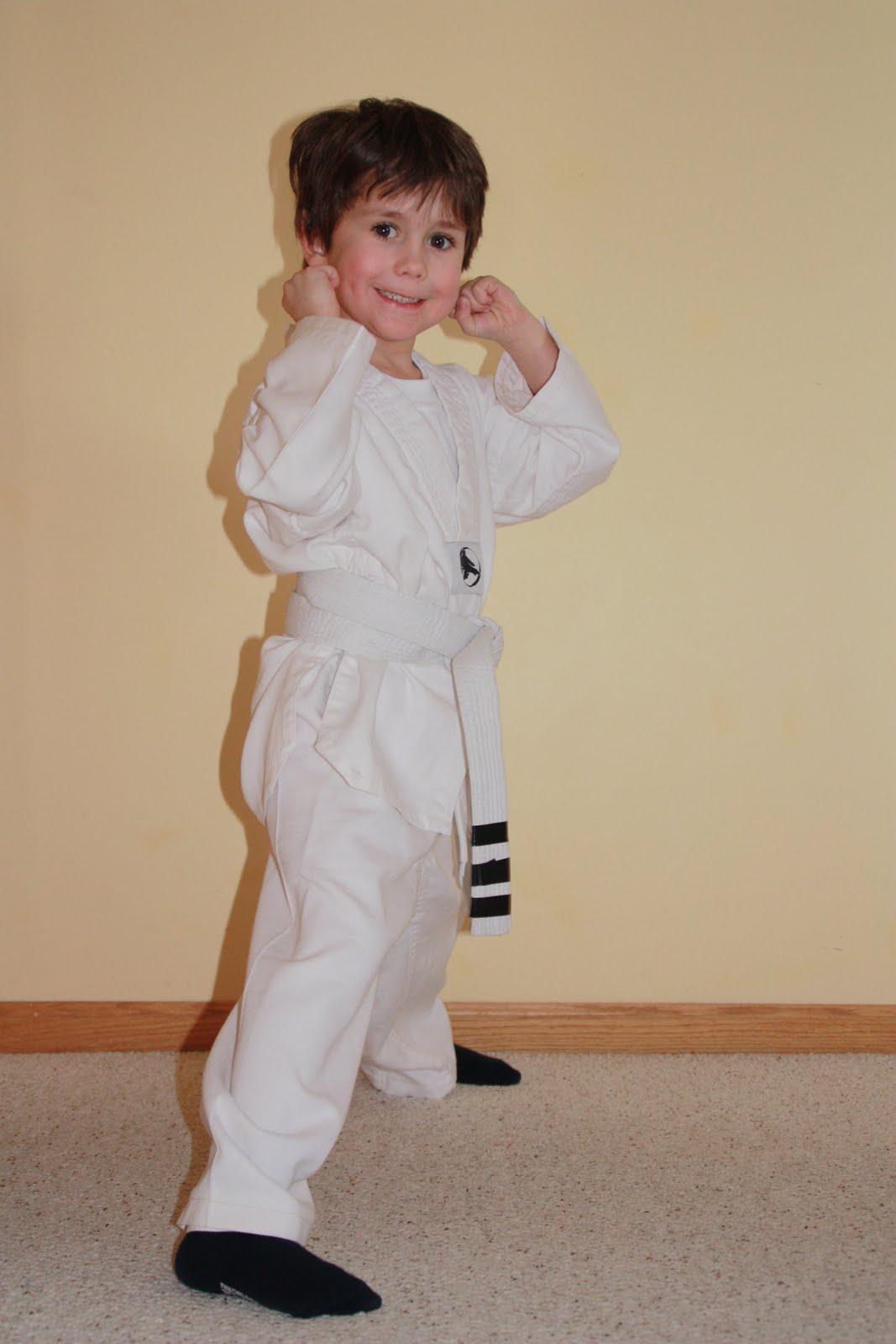 [2-10+-+Karate+Ready+to+test+3.jpg]