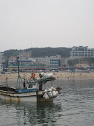 . Minlakdongers Bob and Hoon in nearby beach/airport city Incheon (img )