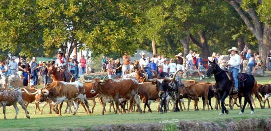 a history of cowboys and cattle drive in early texas The focus of texas cattle drives shifted the cattle drive lives on the trail drivers of texas: interesting sketches of early cowboys 2d ed. a history of cowboys and cattle drive in early texas The focus of texas cattle drives shifted the cattle drive lives on the trail drivers of texas: interesting sketches of early cowboys 2d ed.