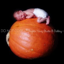 [parker_pumpkin_squareCR.jpg]