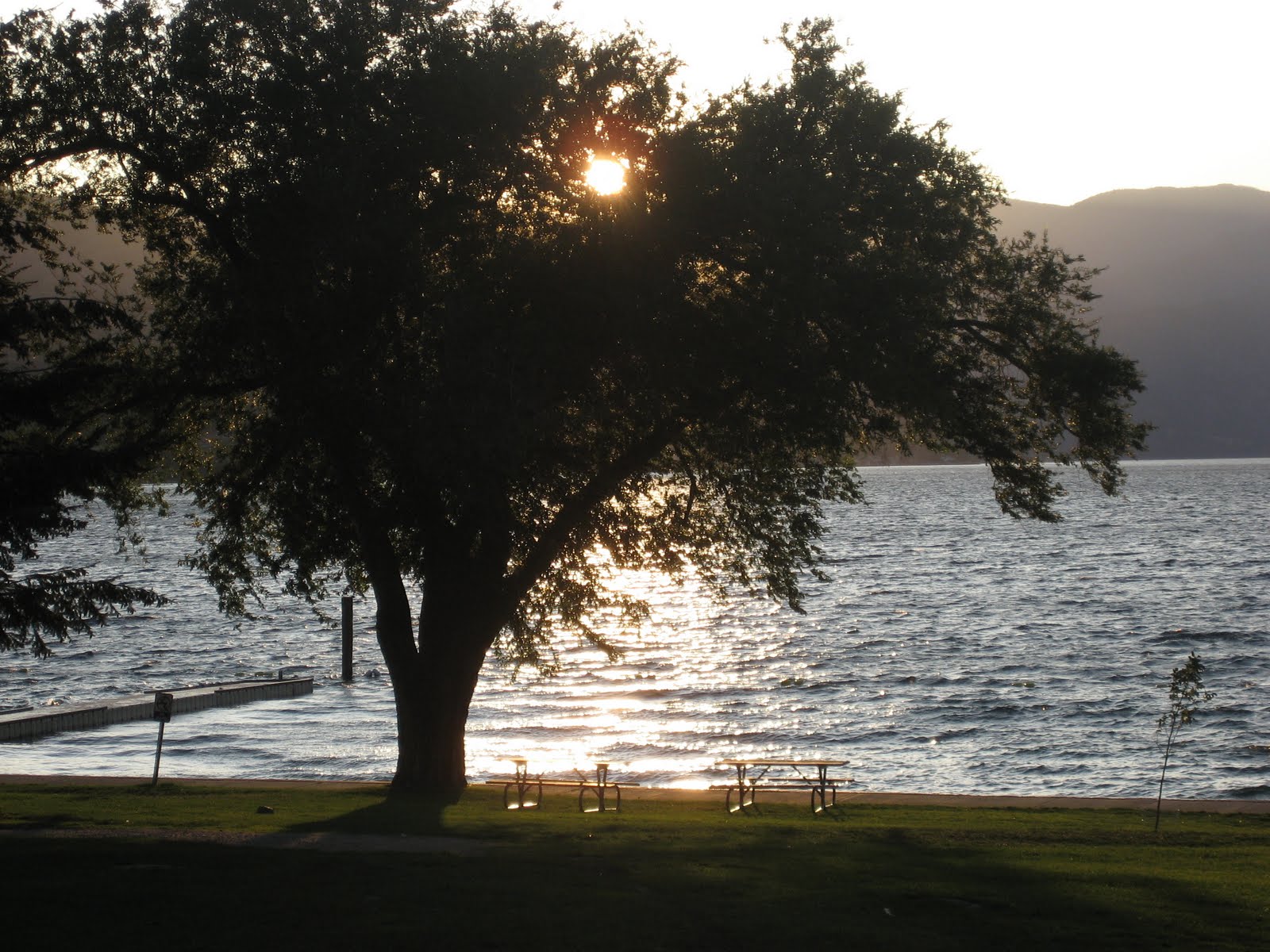 [IMG_4336.JPG]