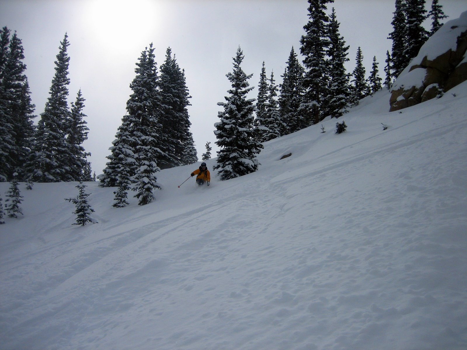 [IMG_7611.JPG]