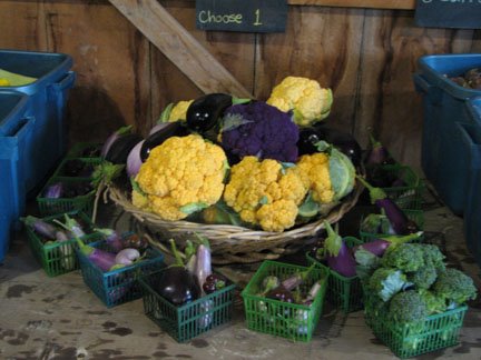 [Fall+Cauliflower.jpg]