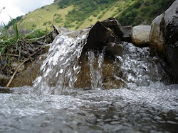 გუდამაყარი– ჩოხი