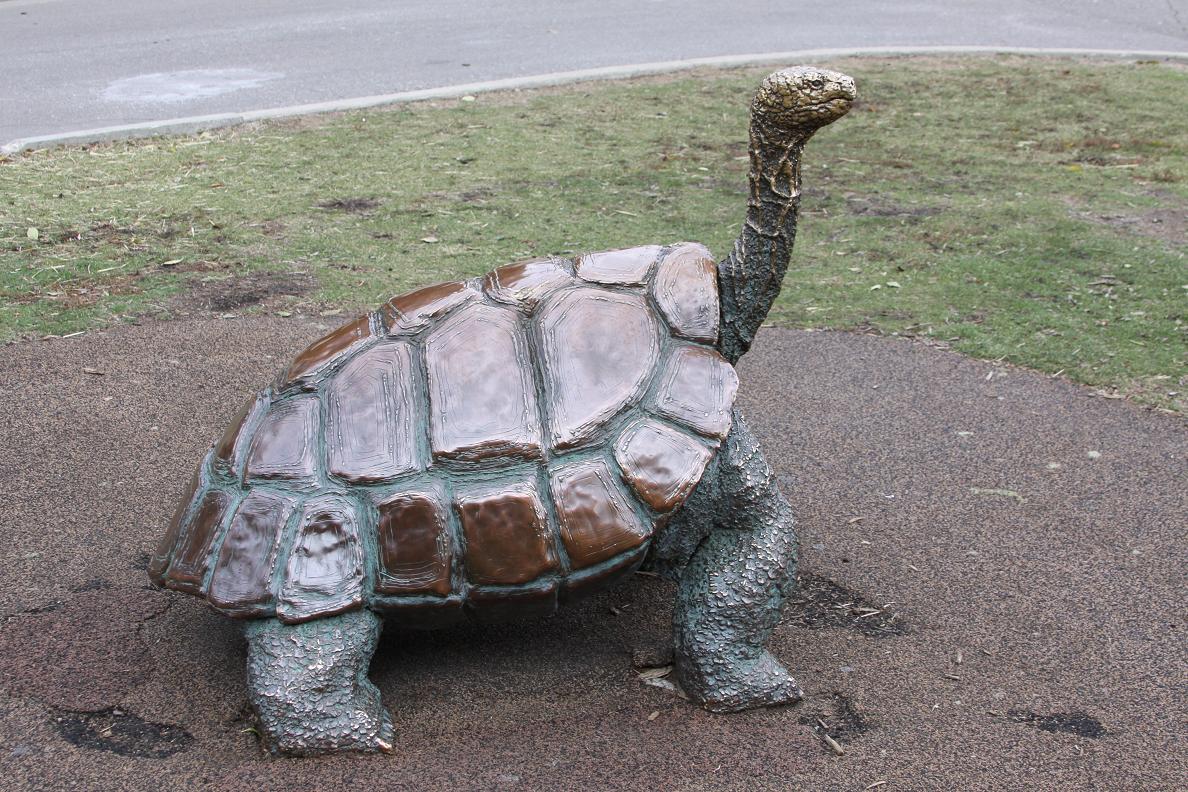 Michigan Exposures The Detroit Zoo...yet again...