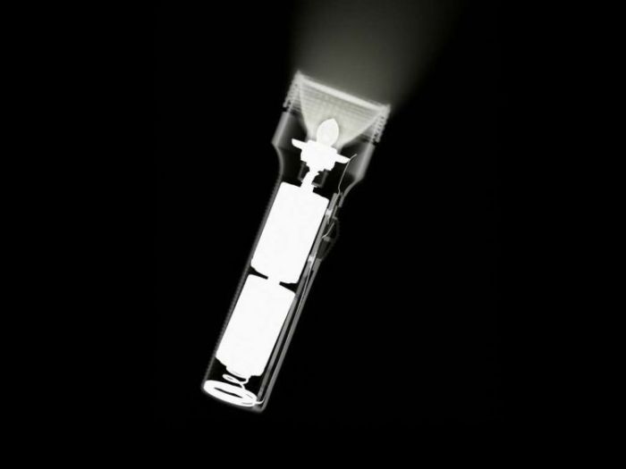 Xray photoshop ~ Alpin Funny Picture!!