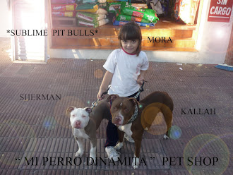 "Mi Perro Dinamita"   pet shop