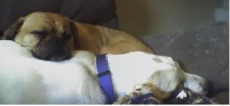 My buddies