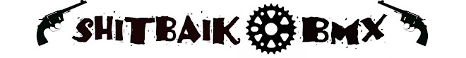 ShitBaik Team