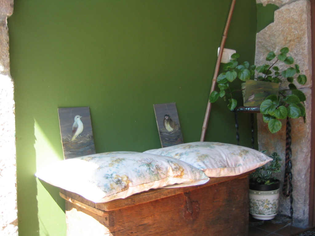 [pajaros+sobre+arca.JPG]