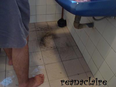 [toilet2.JPG]