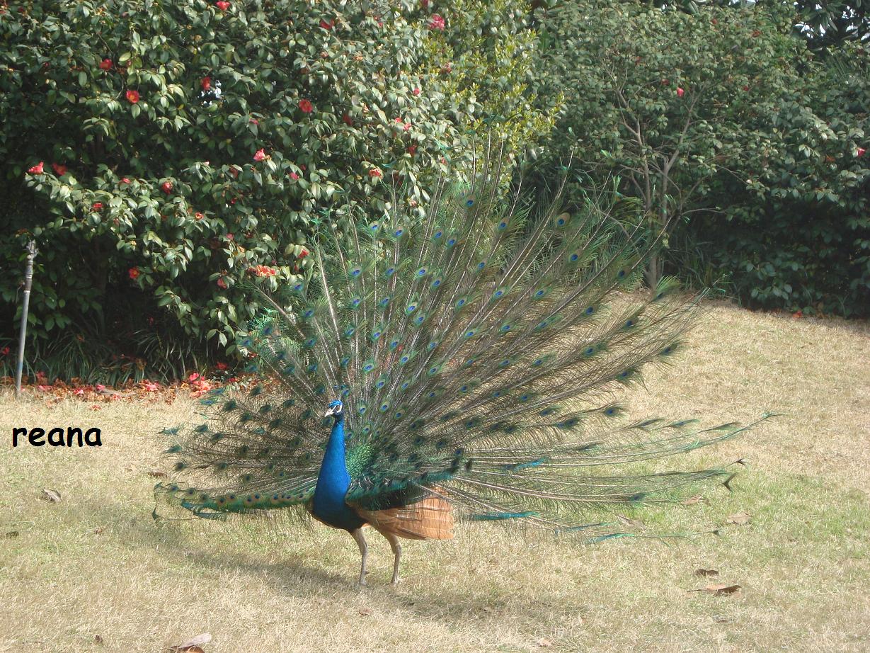 [DSC01121.JPG]