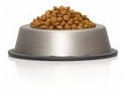 kibble-dry dog food in bowl