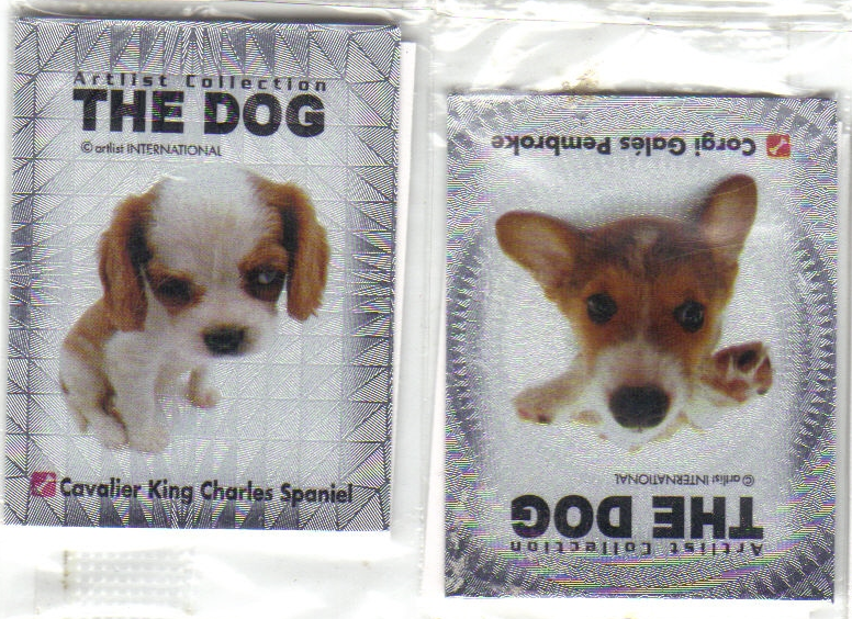 [thedog3.PNG]