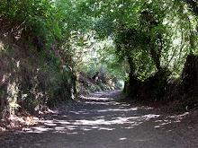 Camino Path for more than 1000 years