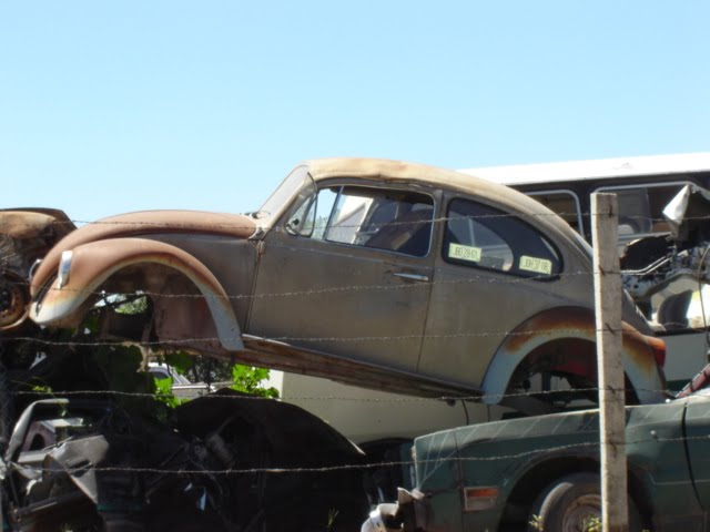 [dsc01486de5.jpg]