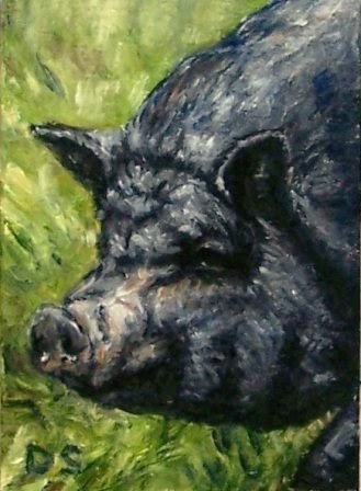 Daily Painting Projects Pot Bellied Pig Farm Animal Miniature