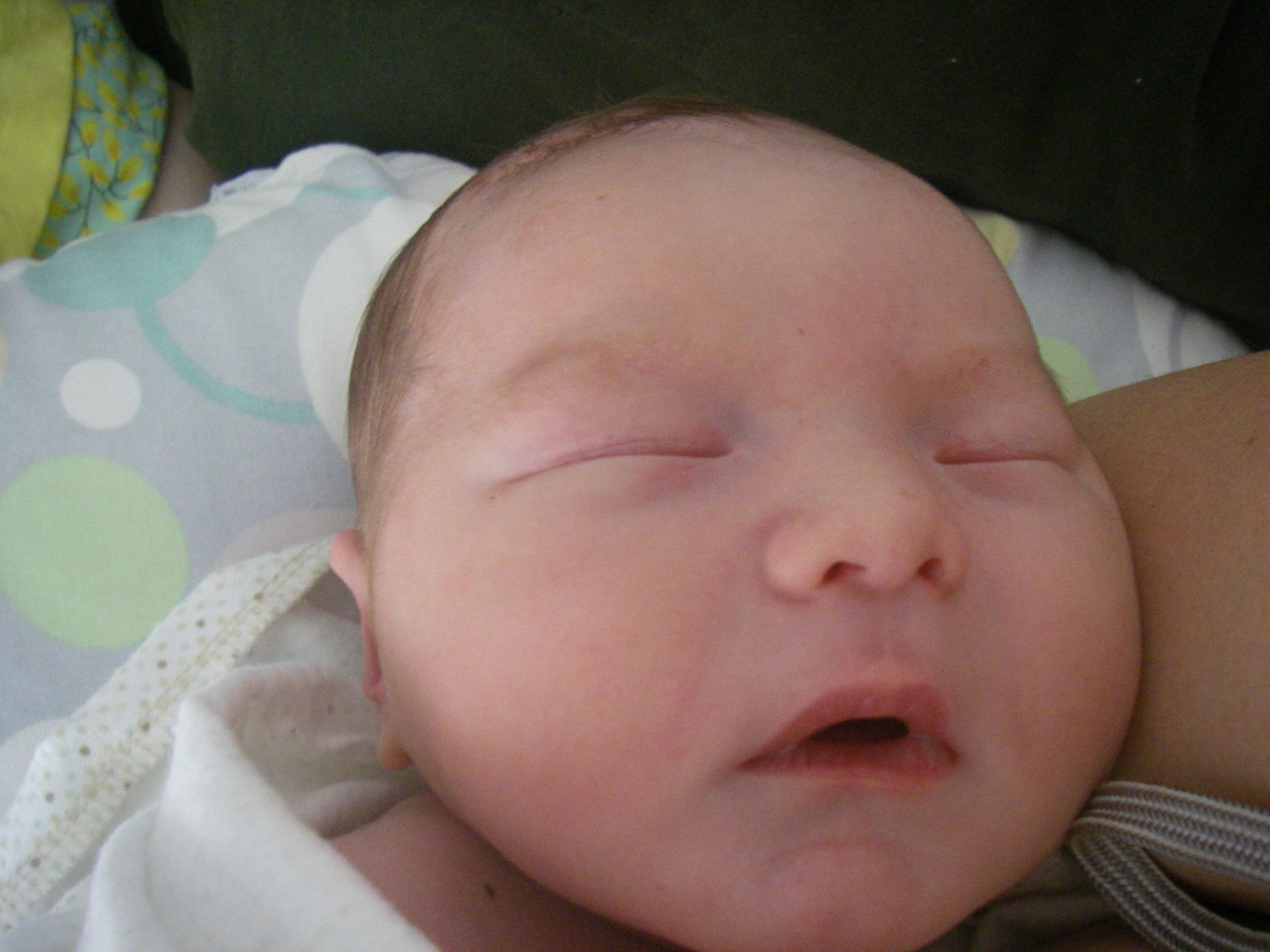 [20090322delivery_night+062.jpg]