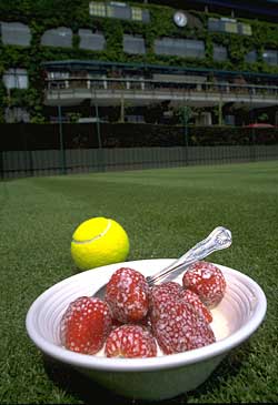 [strawberries-cream.jpg]