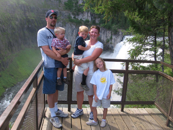 Mesa Falls 2007