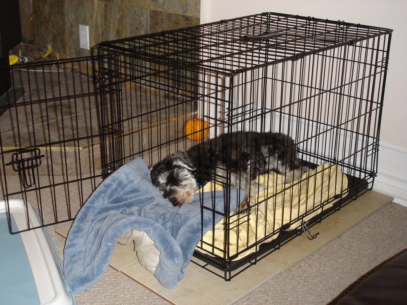 Oscar the Pooch A Miniature Schnauzer Blog Crate Redecorating