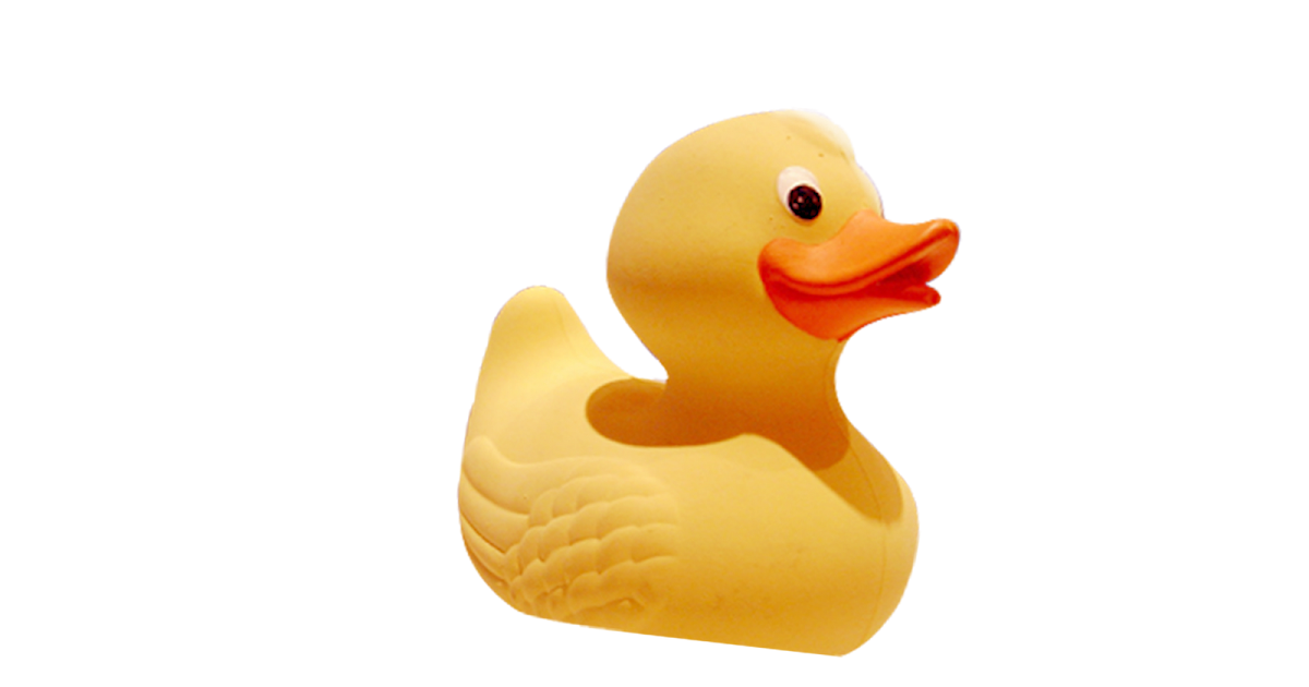 Rubber Ducky Occasions of JOY