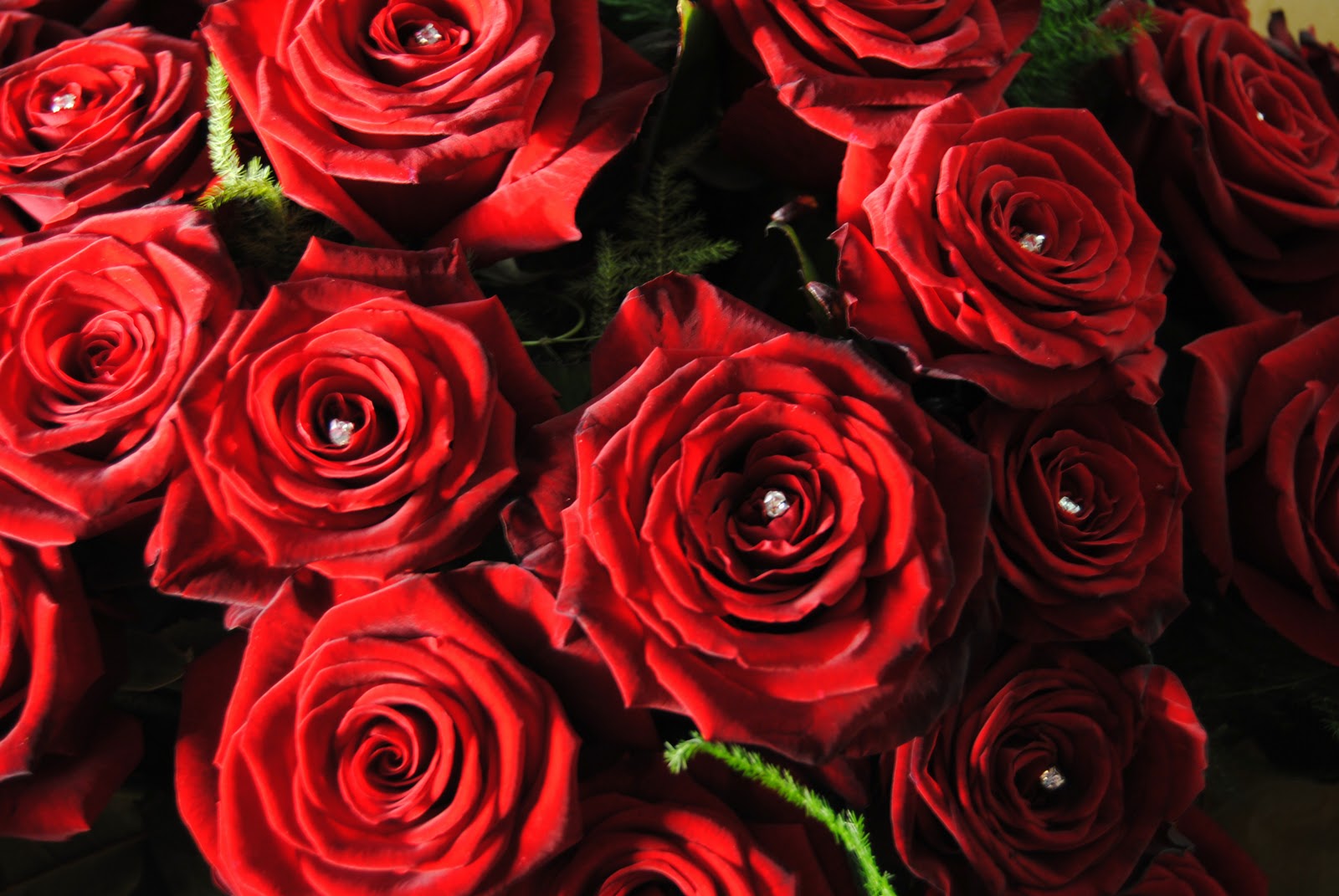 Ultraviolet Floral Design Valentines Day 2011