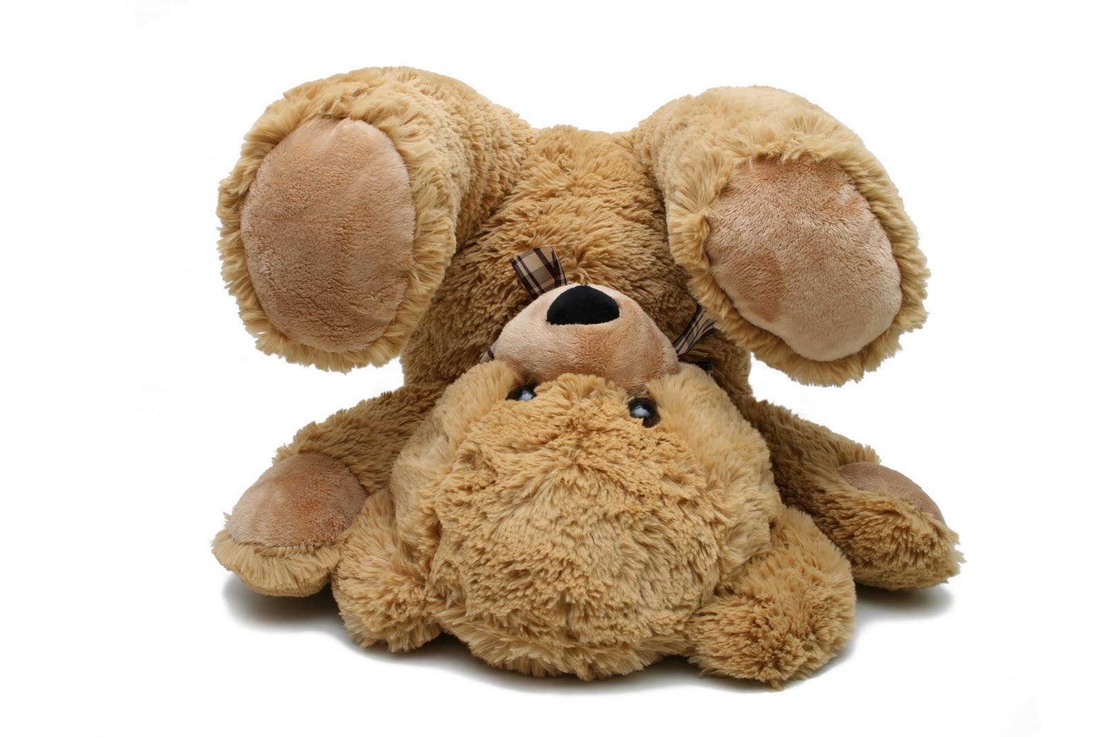 Stock Photo - Teddy Bear Игрушечные медведи.