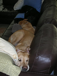 Can you say cozy??