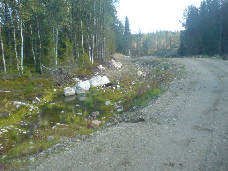 [image-upload-113-708776.jpg]