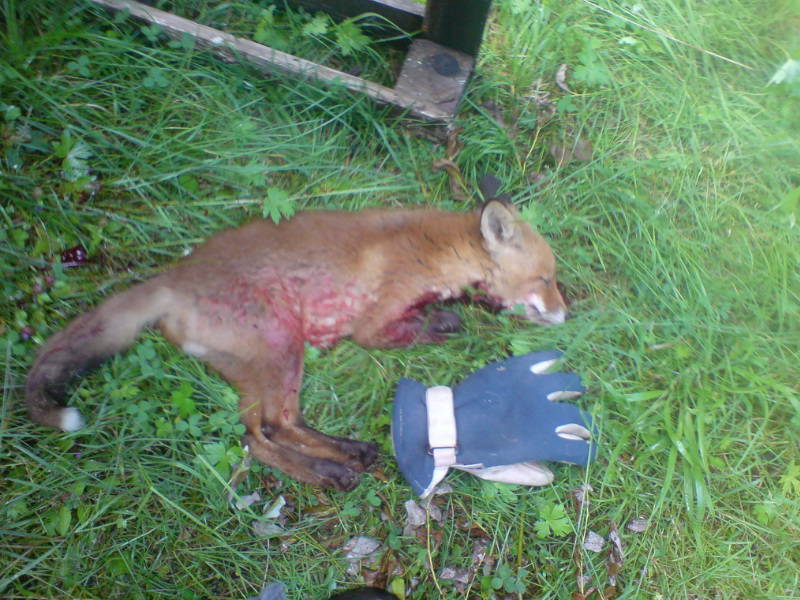 [image-upload-121-780987.jpg]