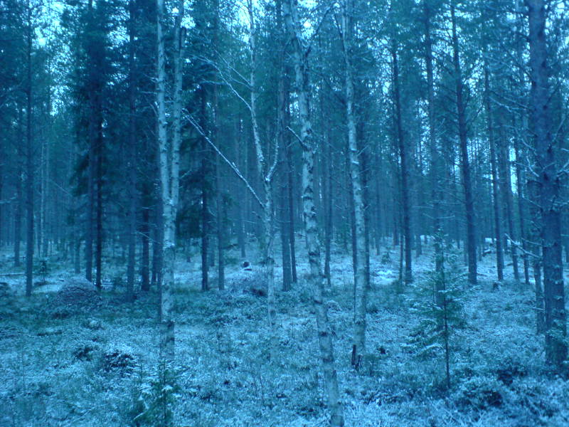 [image-upload-38-783794.jpg]