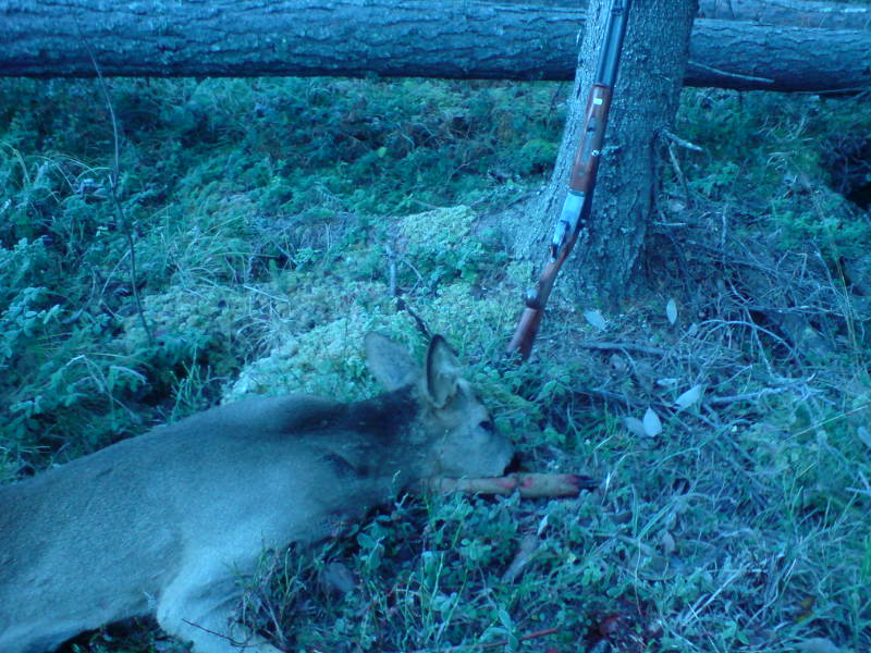 [image-upload-149-743925.jpg]