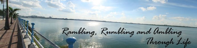 Rambling, Rumbling and Ambling Through Life