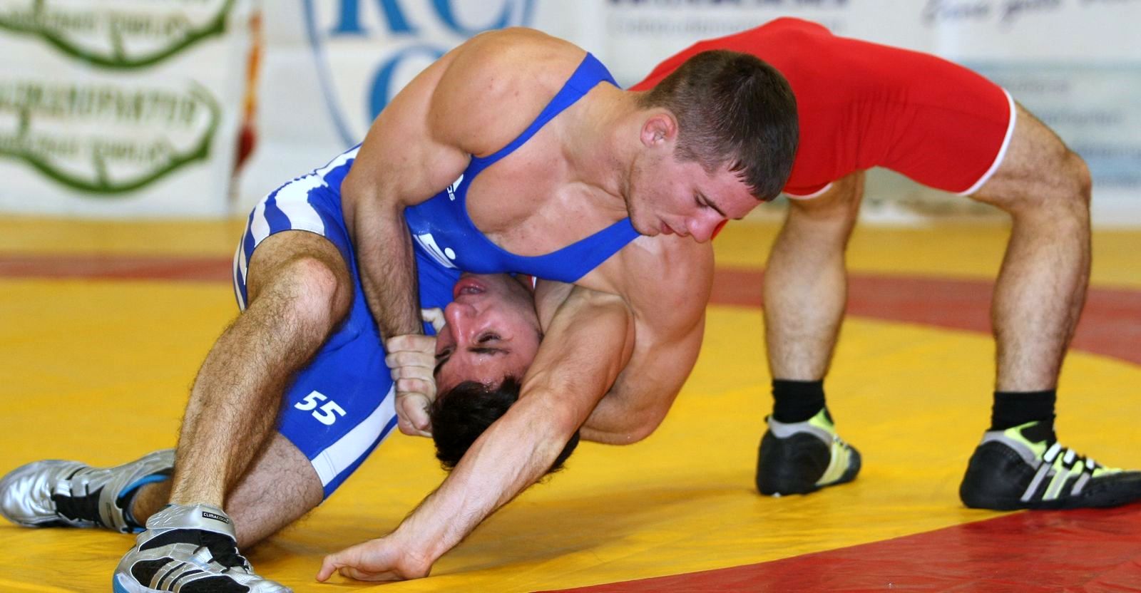 wrestling world German wrestling Potsdam vs Untergriesbach