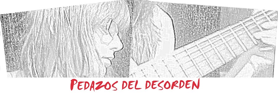 · Pedazos del desorden ·