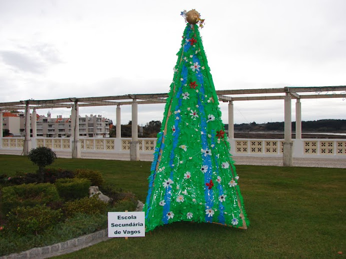Natal Ecológico 2008