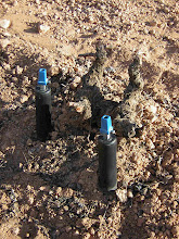 Save Money by Dripping