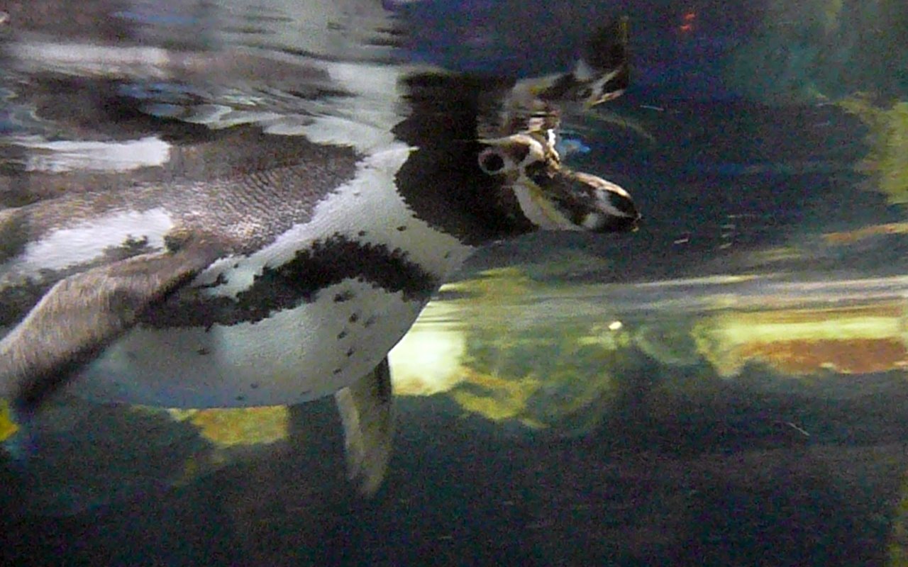 [0110+-+Spain,+L'Aquàrium.jpg]