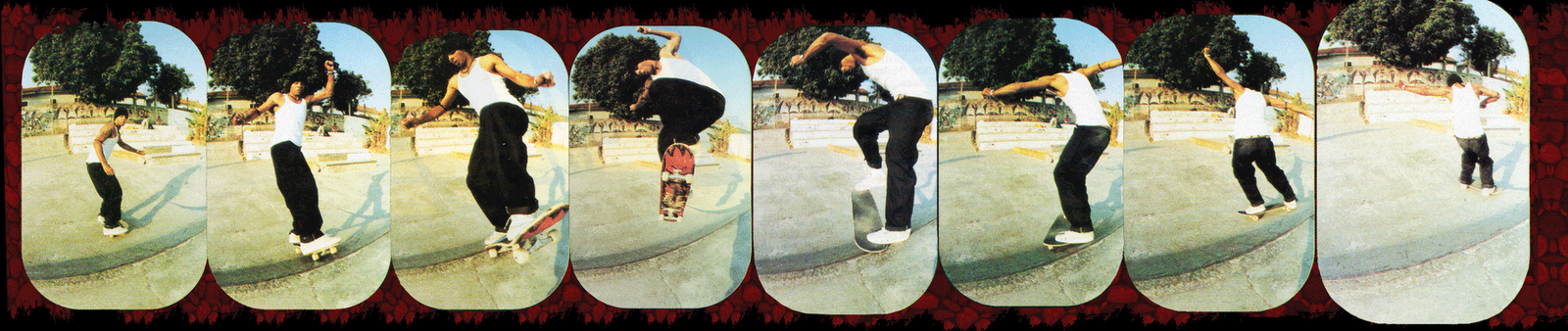 [180+blunt+ollie+to+nose+reverse+ano+1996.gif]