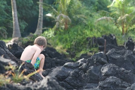 [lava+rocks.JPG]