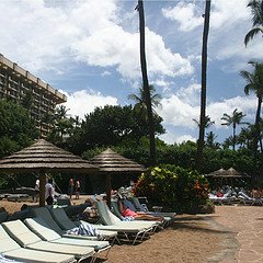 [3103118635_04d90e4096_m.jpg]