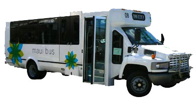 [maui-bus.jpg]