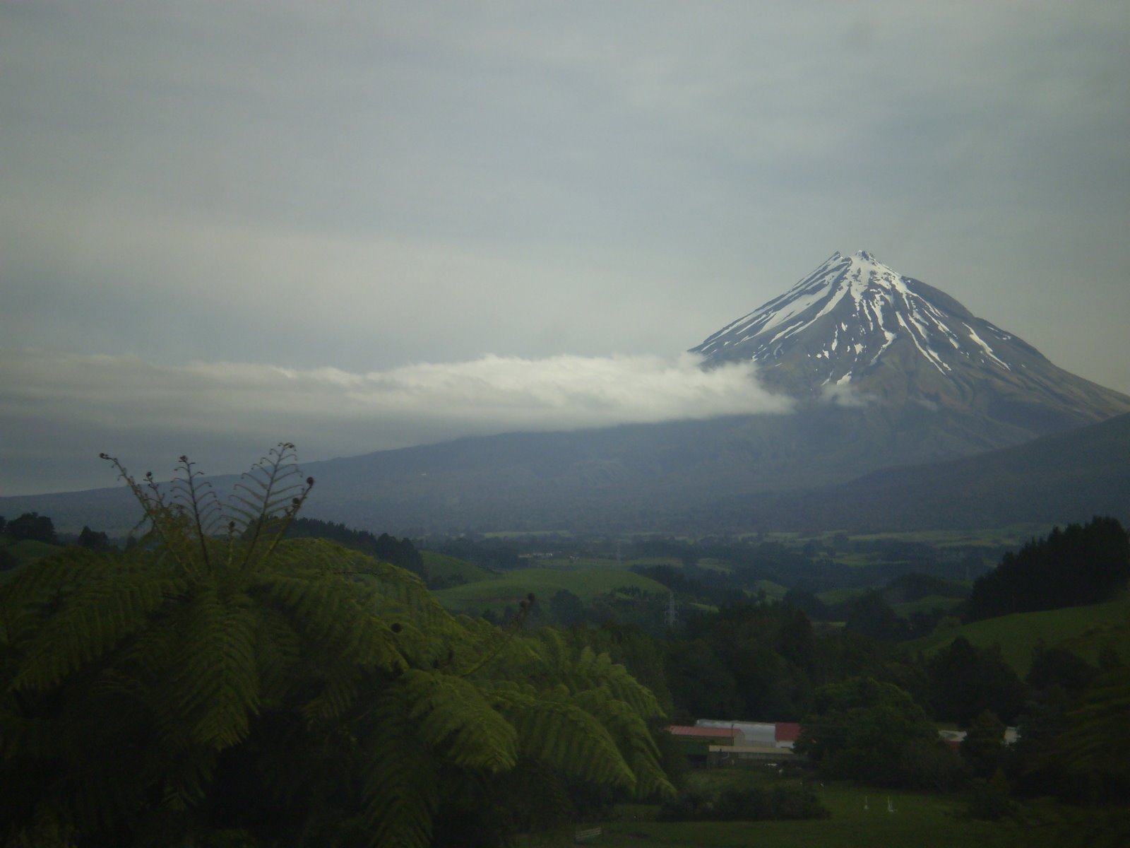 [P8200143.JPG]